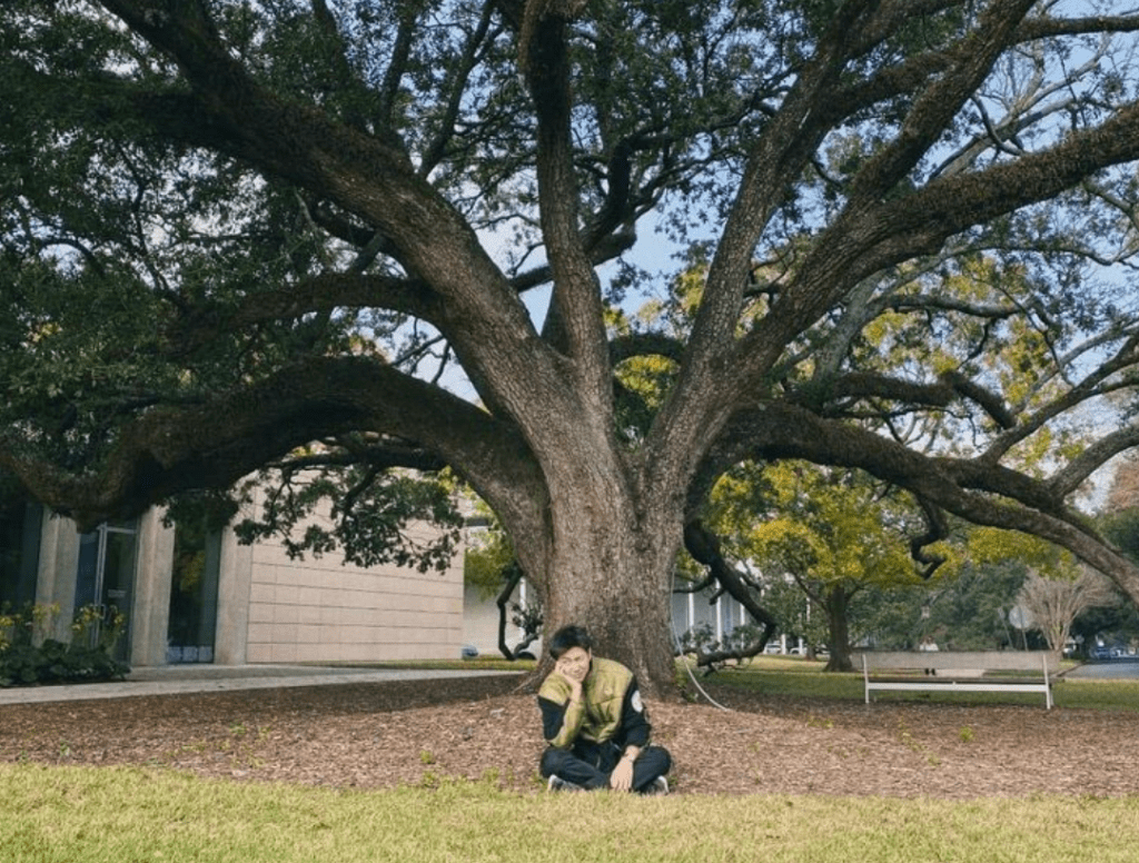 The Menil Collection
